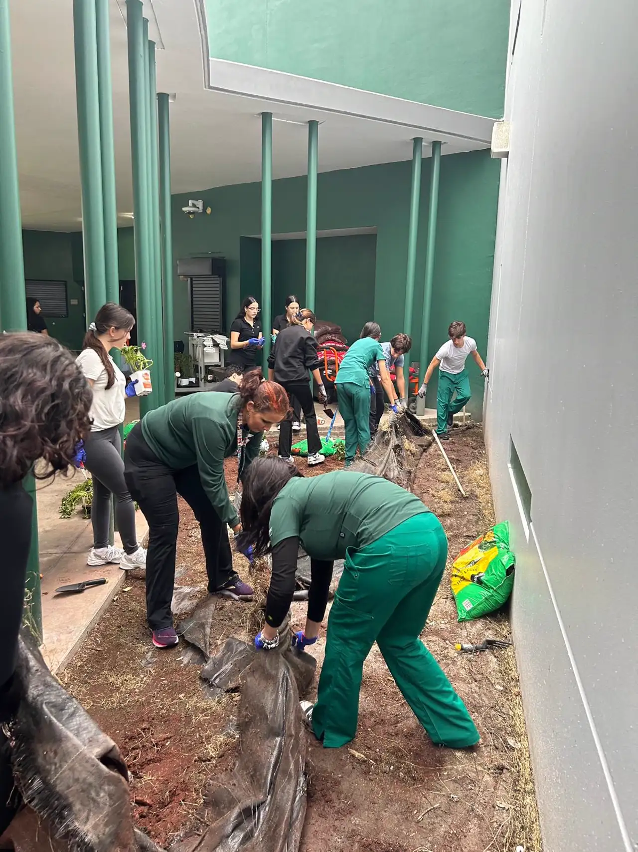 Achievement at Blissful Hands